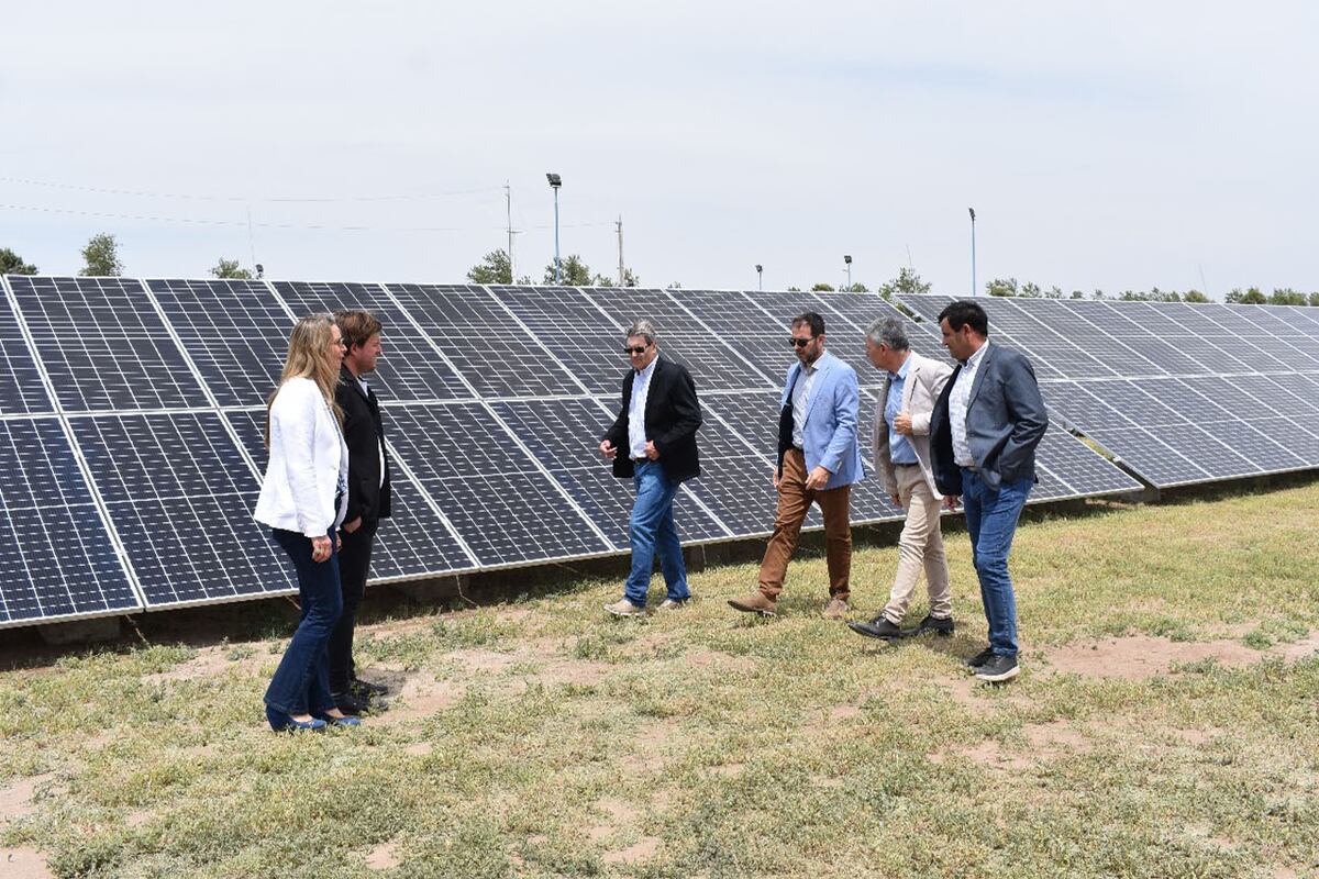 El parque solar de Jovita tiene capacidad para escalar hasta cuatro veces la dimensión actual.