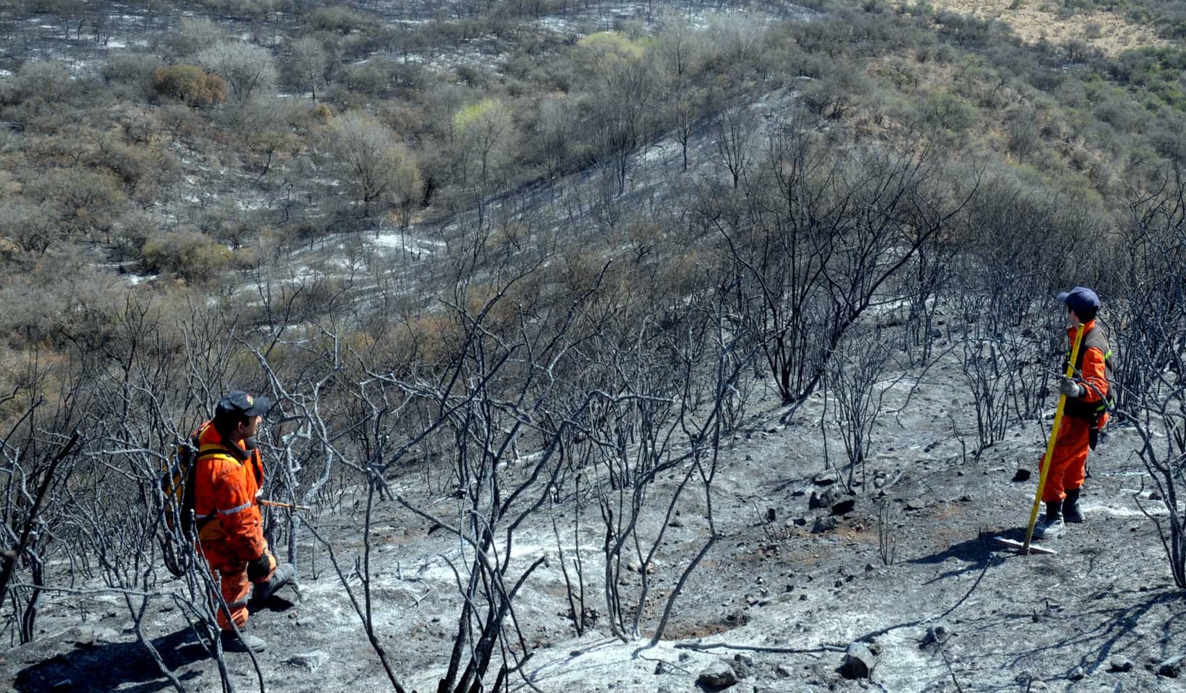 Suelos quemados en las Sierras. El impacto del paso del fuego es severo. (La Voz/ Archivo)