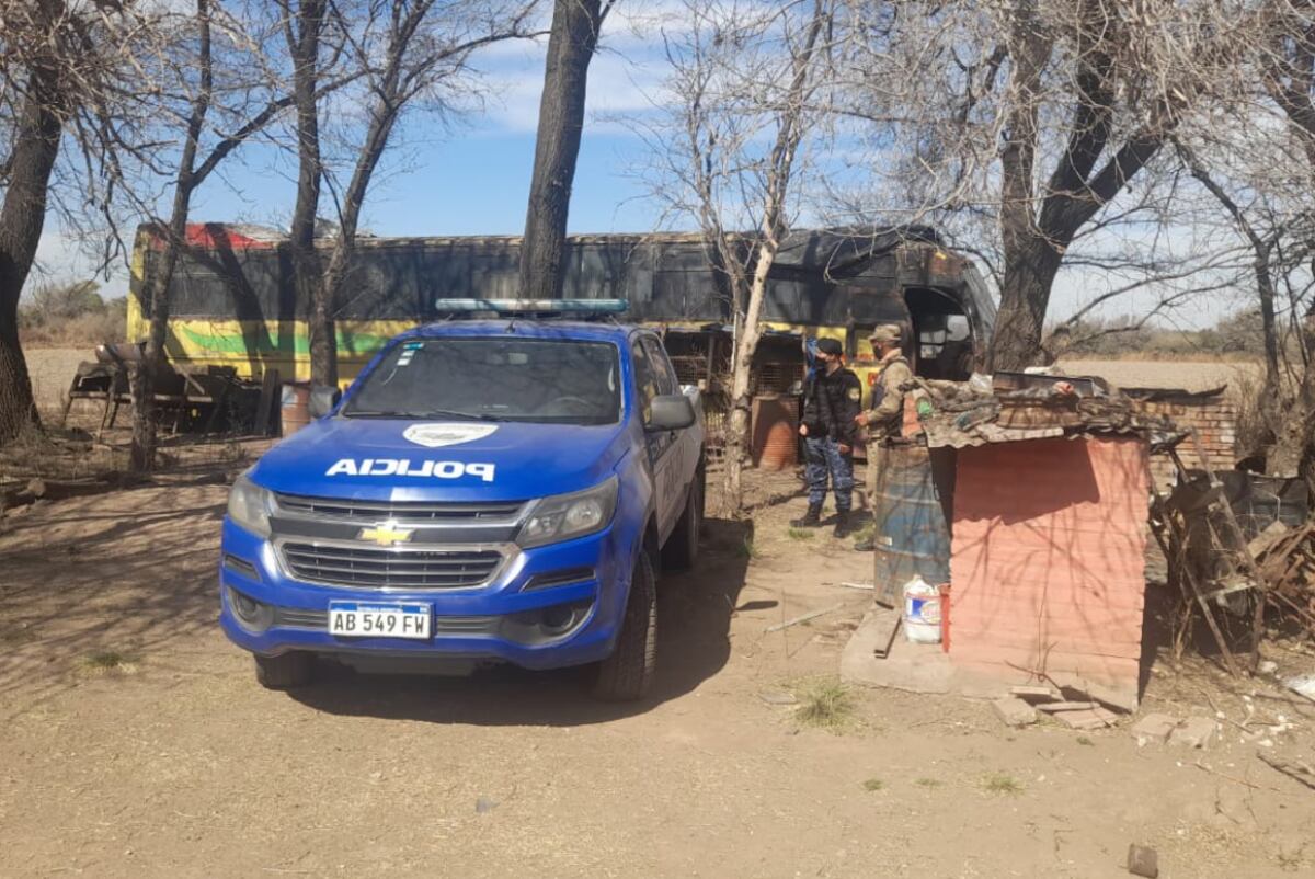 Pozo del Tigre. El yaguarundí salvaje rescatado por la Patrulla Ambiental. (Policía de Córdoba)
