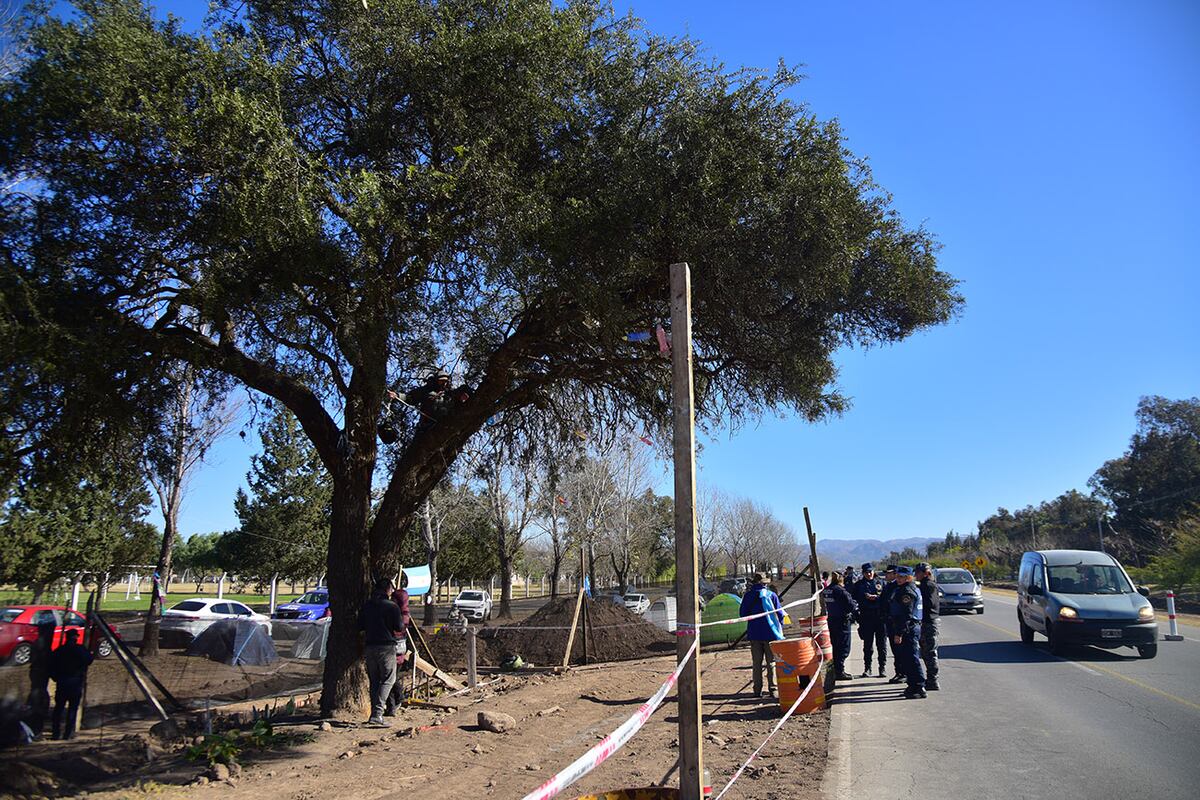 Villa Allende. Una mujer se encadenó frente al árbol que removerán de Av. Luchesse. (Pedro Castillo / La Voz)