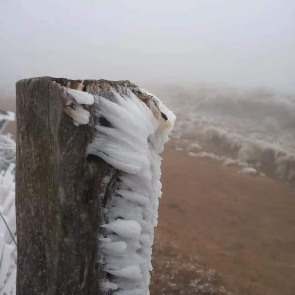 Villa de Merlo. Cayó nieve en las sierras de San Luis (Gentileza El Corredor Noticias).