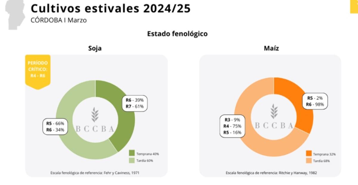 Cultivos estivales