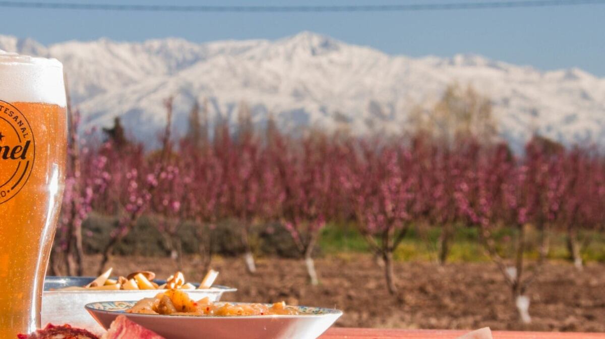 Crece la Ruta de la Cerveza en Mendoza, tierra de vinos. (Foto: Mendoza Turismo)