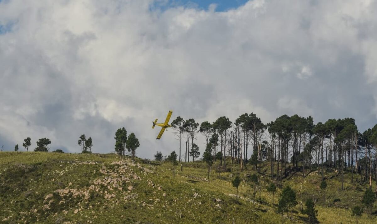 Un avión hidrante, este viernes, sobre la zona afectada por incendios en Pampa de Olaen (La Voz)