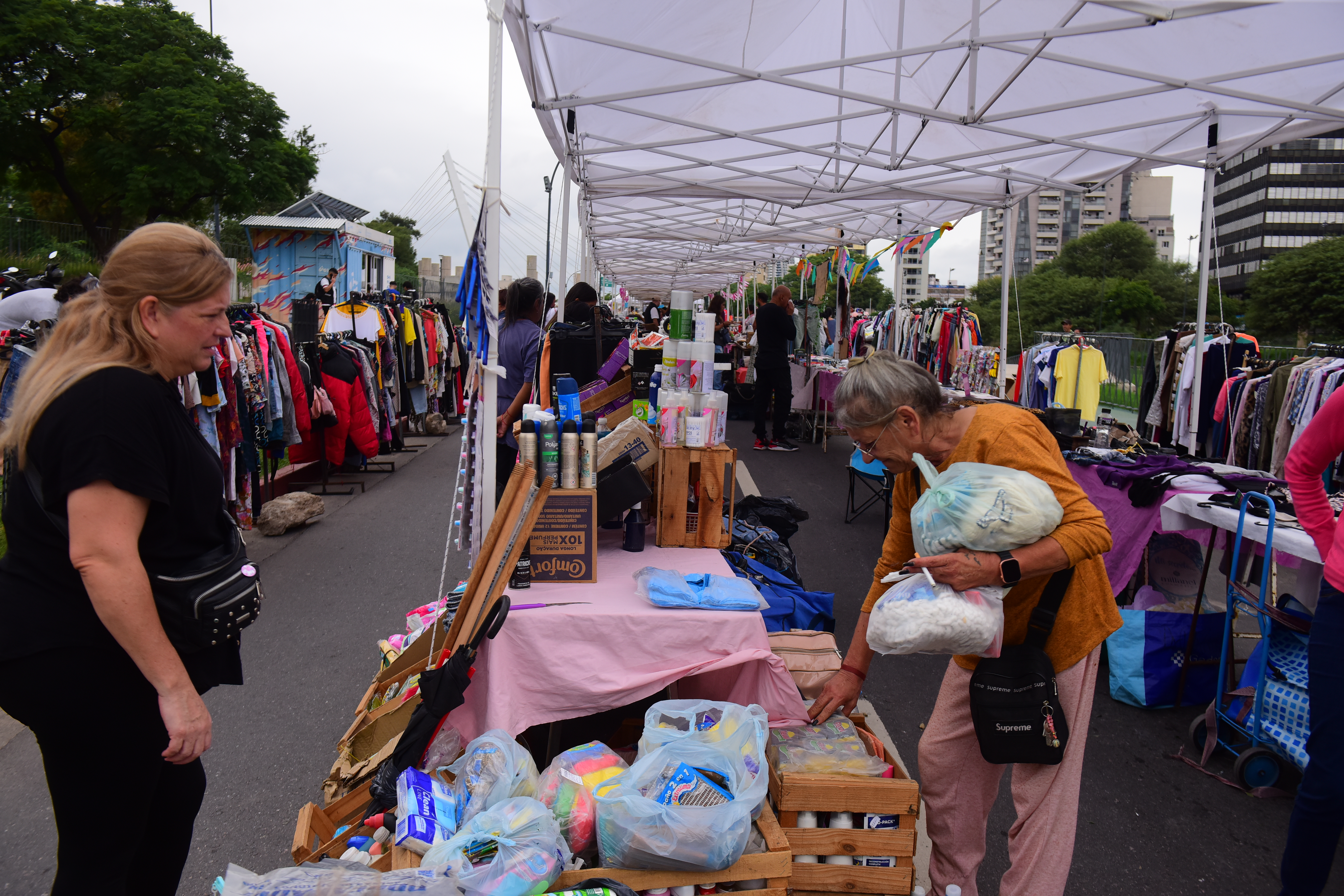 Trasladaron la feria Paseo Las Heras a la costanera del río Suquía. (José Gabriel Hernández / La Voz) Feria americana Paseo Las Heras