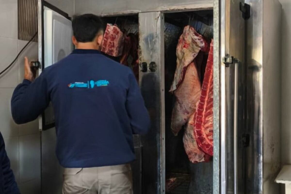 OPERATIVO. La Provincia decomisó 300 kilos de carne proveniente de una faena clandestina en el departamento Cruz del Eje. (Gentileza Gobierno de Córdoba)