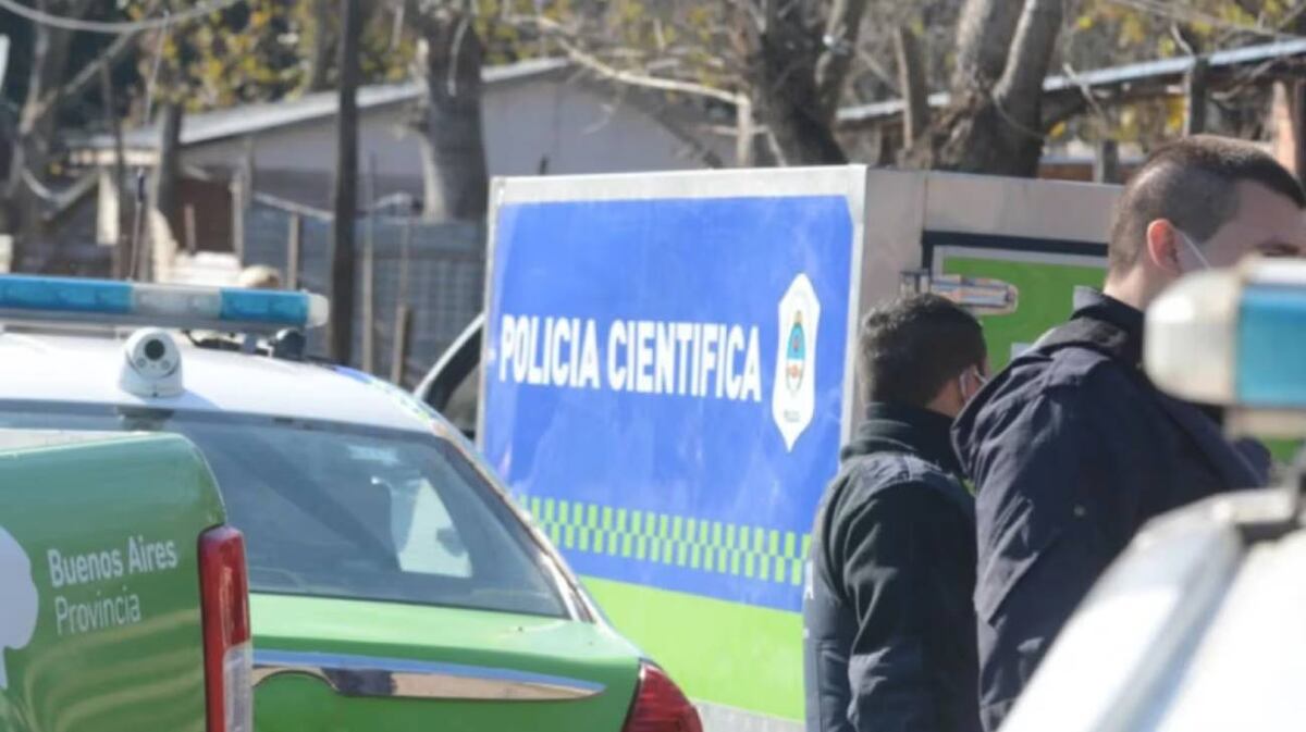 Un hombre encontró restos óseos en el patio de su casa mientras cortaba el pasto. (Foto: Gentileza 0221).