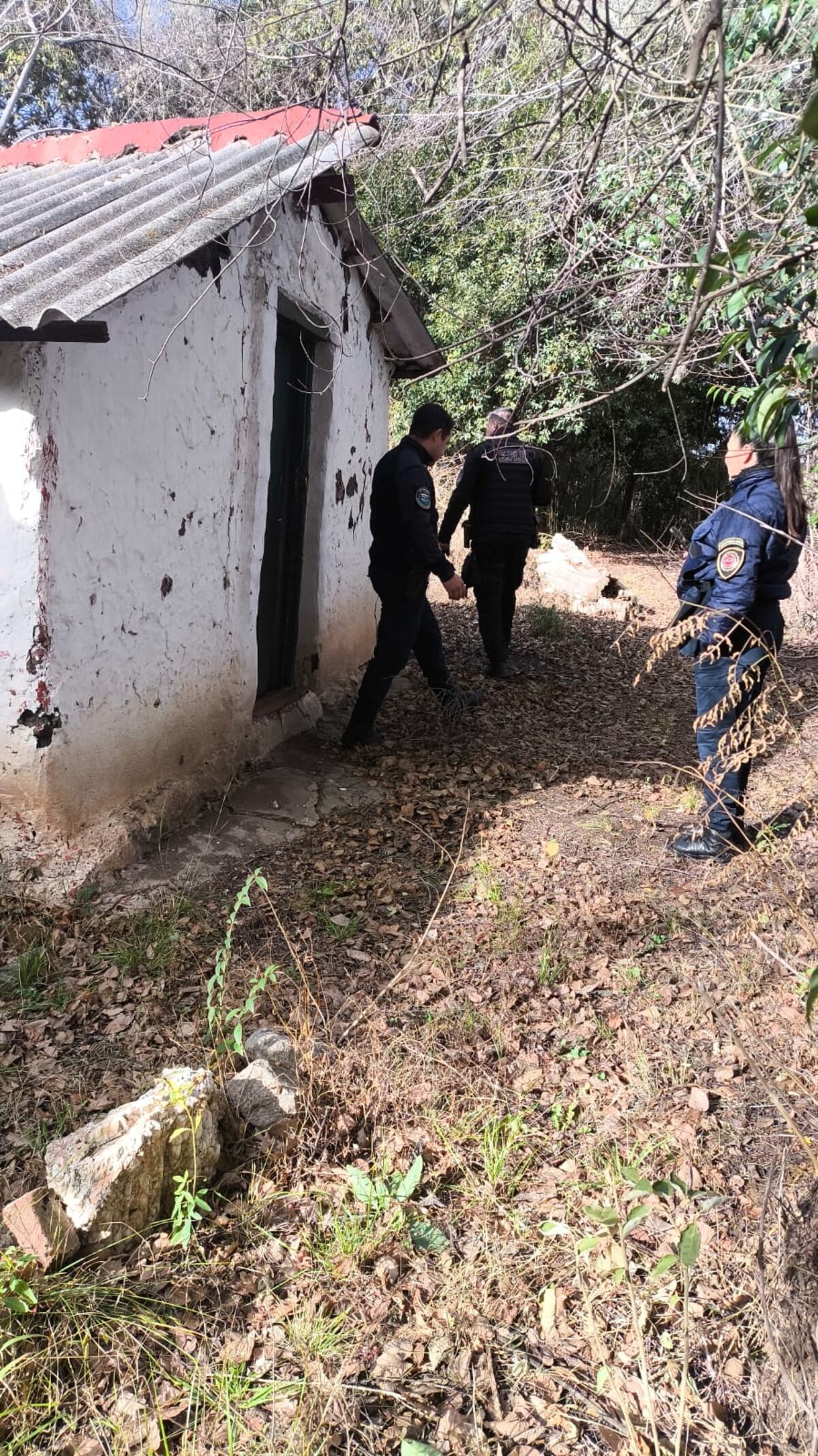 La búsqueda. (Policía)