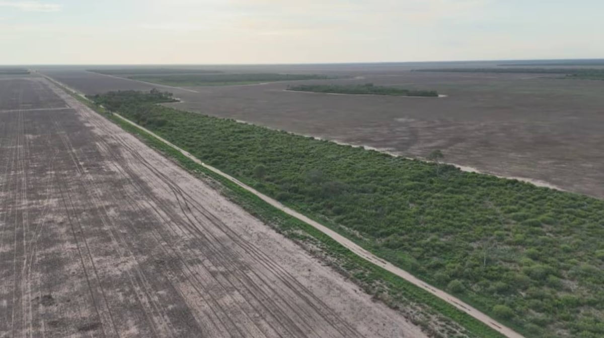 Uno de los campos que se le atribuyen a Toviggino. (TN)