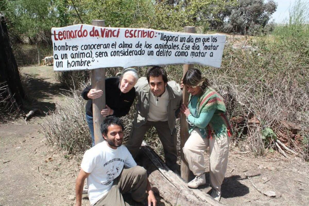 “Ella fue única. Cambio la visión sobre el chimpancé y la vida animal", dijo Alejandra. (Proyecto Carayá)