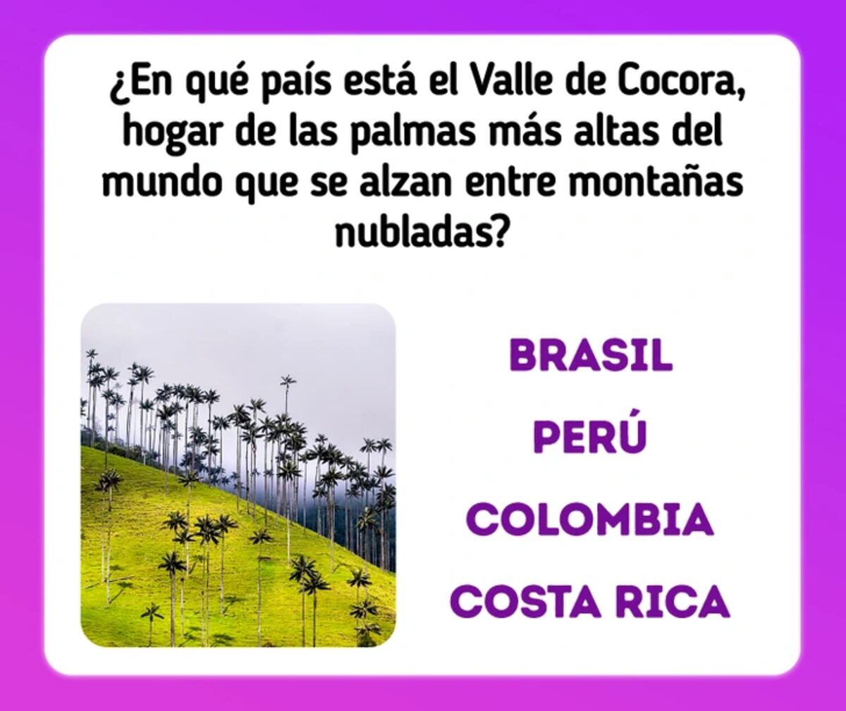 El acertijo visual.