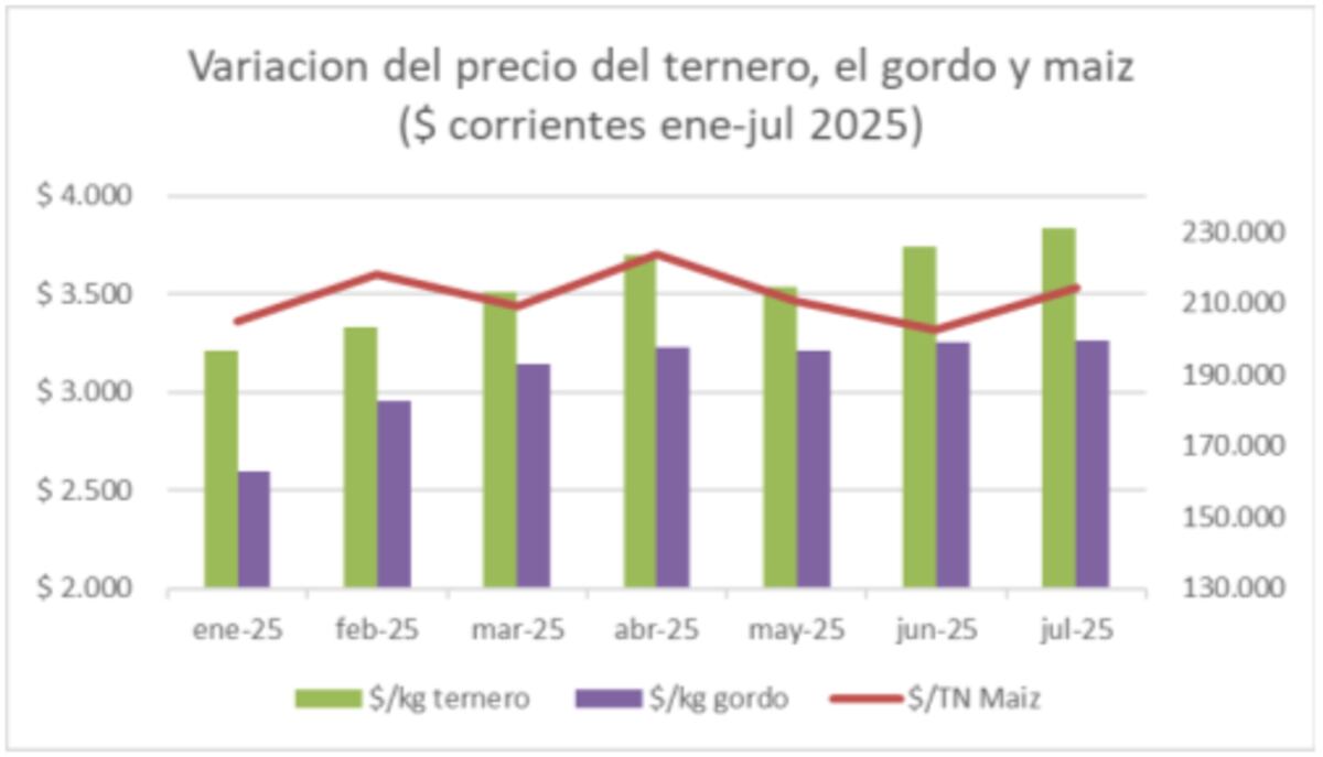 Variación del precio del ternero, el gordo y maíz