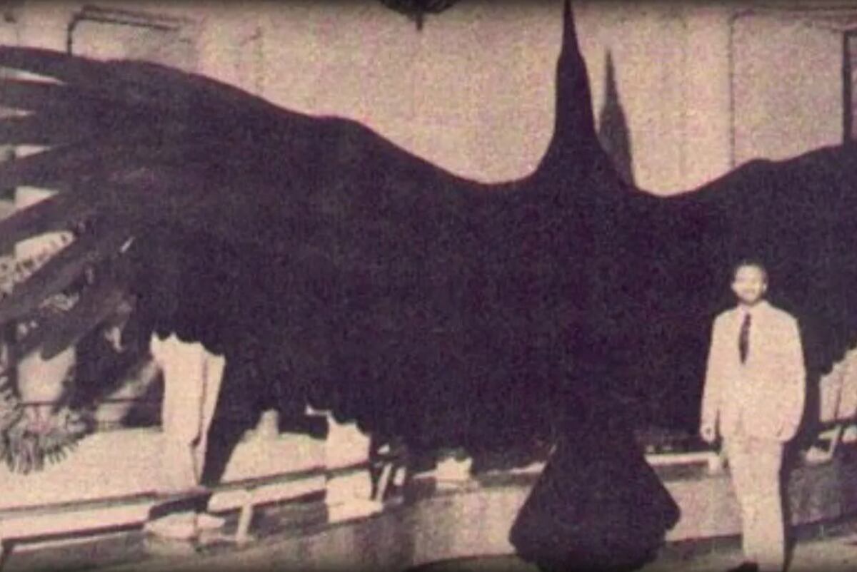 El Dr. Kenneth Campbell y la silueta de Argentavis Magnificens en el Museo de Historia Natural de Los Angeles. (Foto de Archivo)