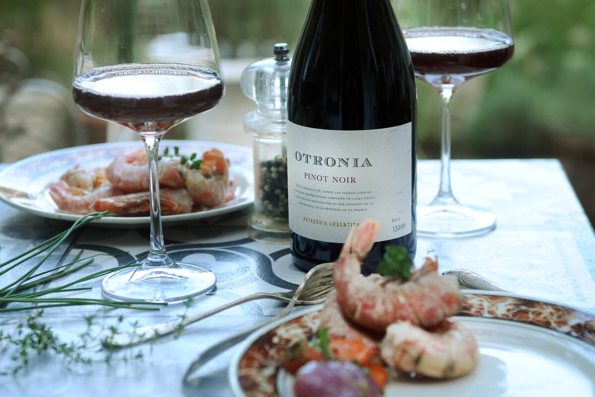 3 Otronia pinot noir 2021, Chubut. (Javier Ferreyra).