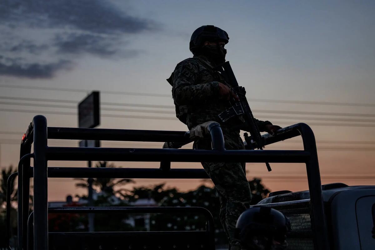 Halcones y rutas secretas: cómo llega el fentanilo a Estados Unidos (Gentileza)