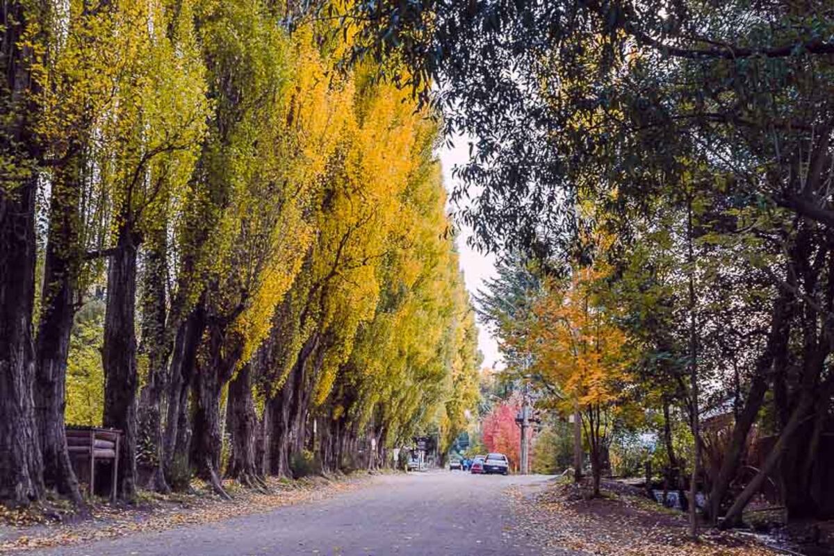 Colonia Suiza, en Bariloche. (Foto: Barilocheturismo)