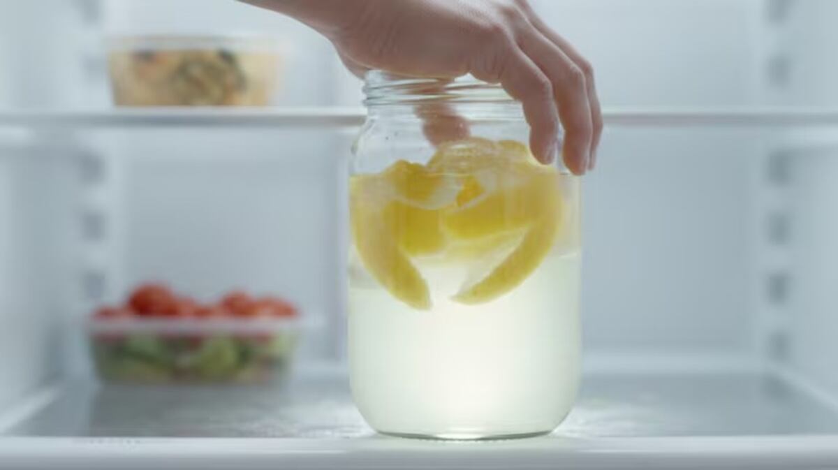 Heladera sin olor: el truco con cáscaras de limón y alcohol que elimina los aromas de raíz