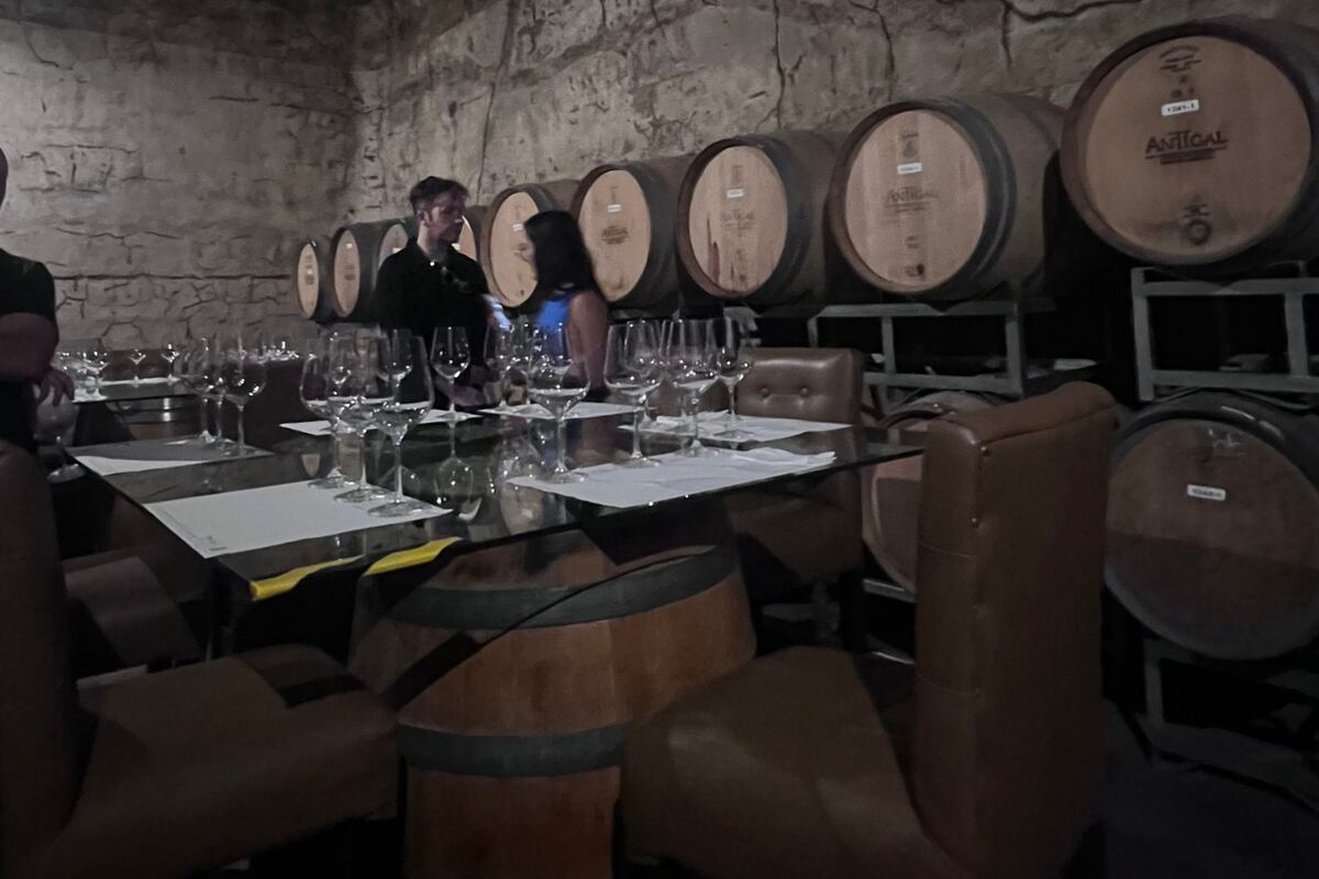 Brújula gastronómica de Mendoza.