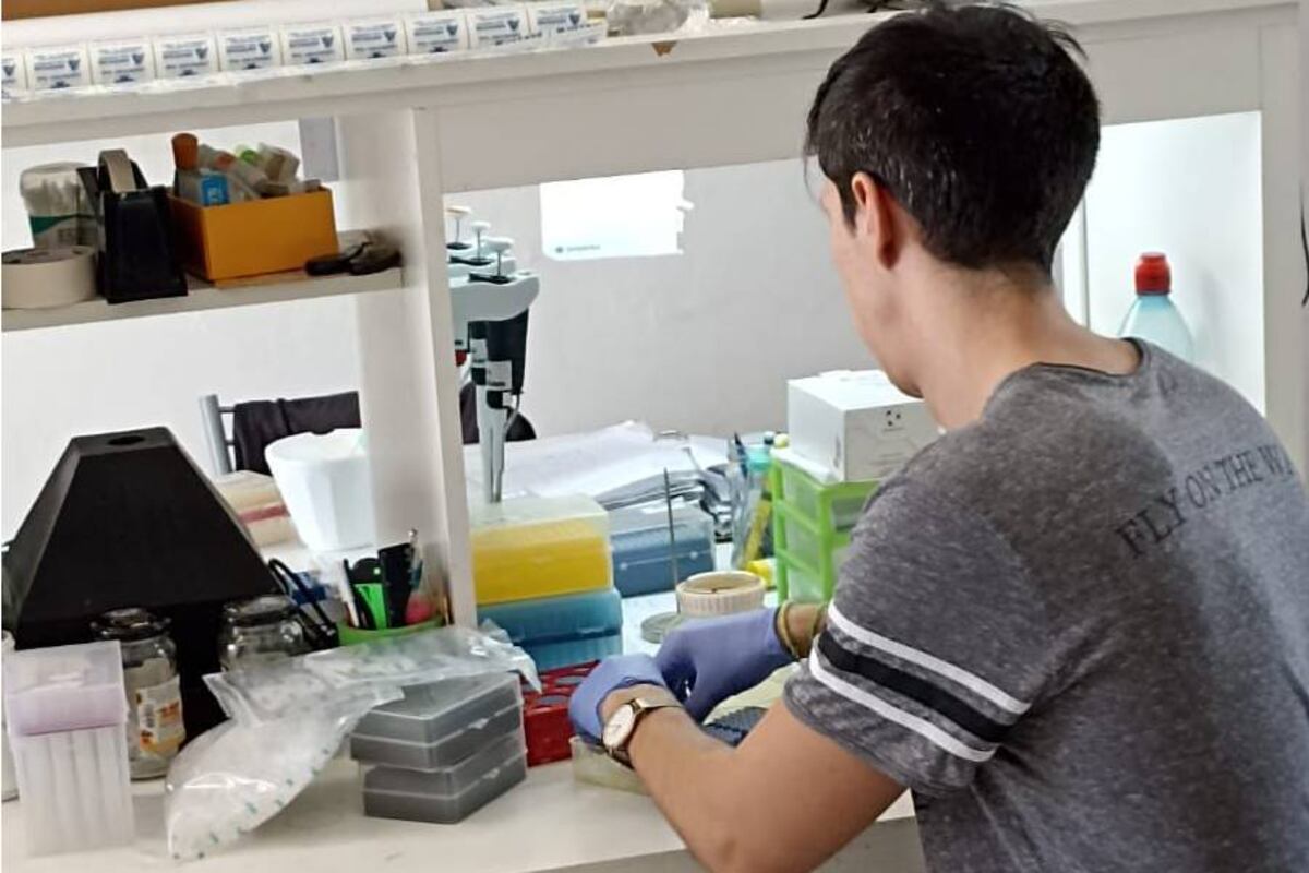 Peligra la paralización de las líneas de investigación. (Instituto Ferreyra)