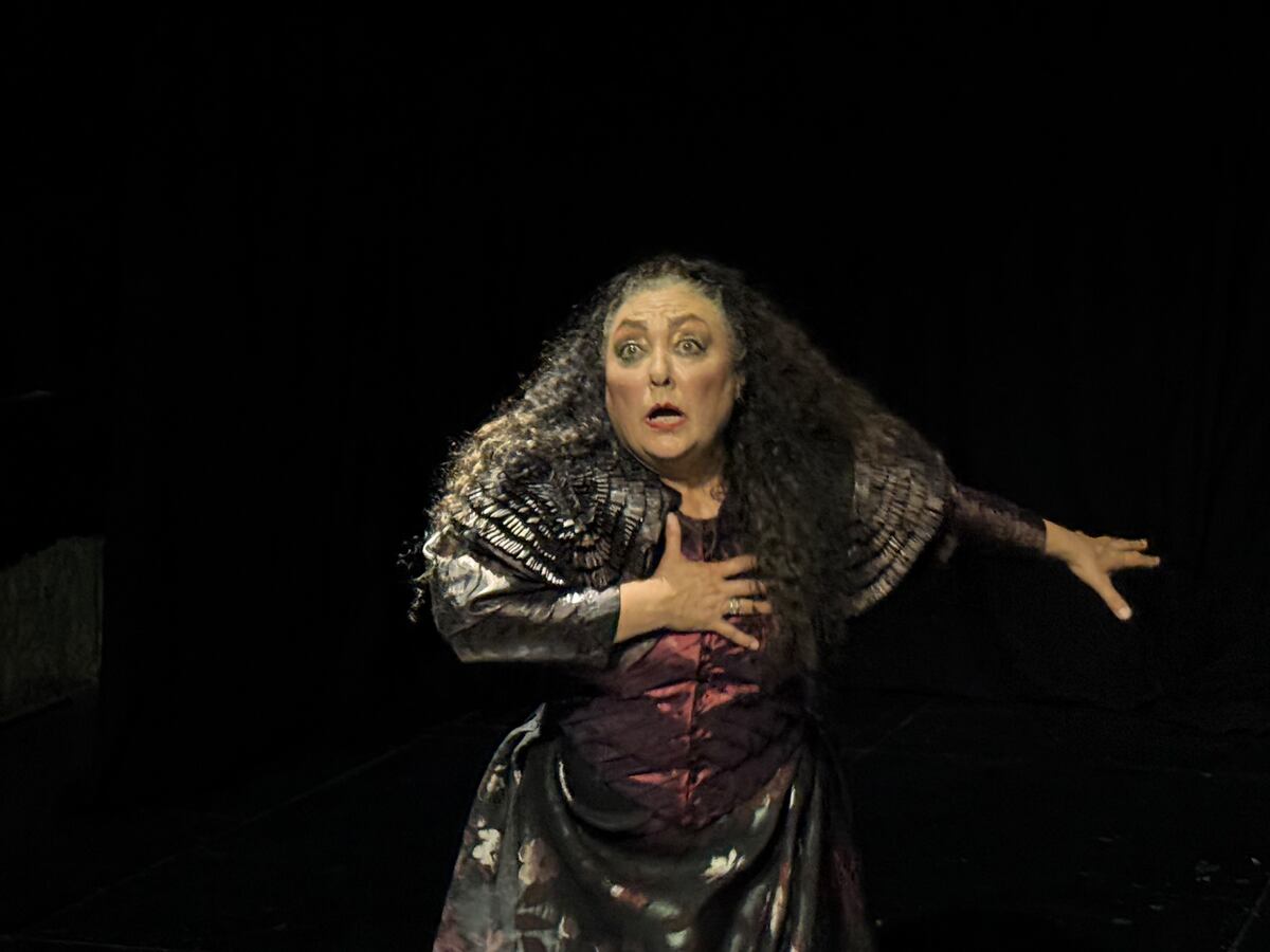 Amalia Freytes, muy expresiva durante un ensayo de "Fantasmáticas", obra próxima a estrenarse en el Teatro Comedia. (Gentileza Luciano Delprato)