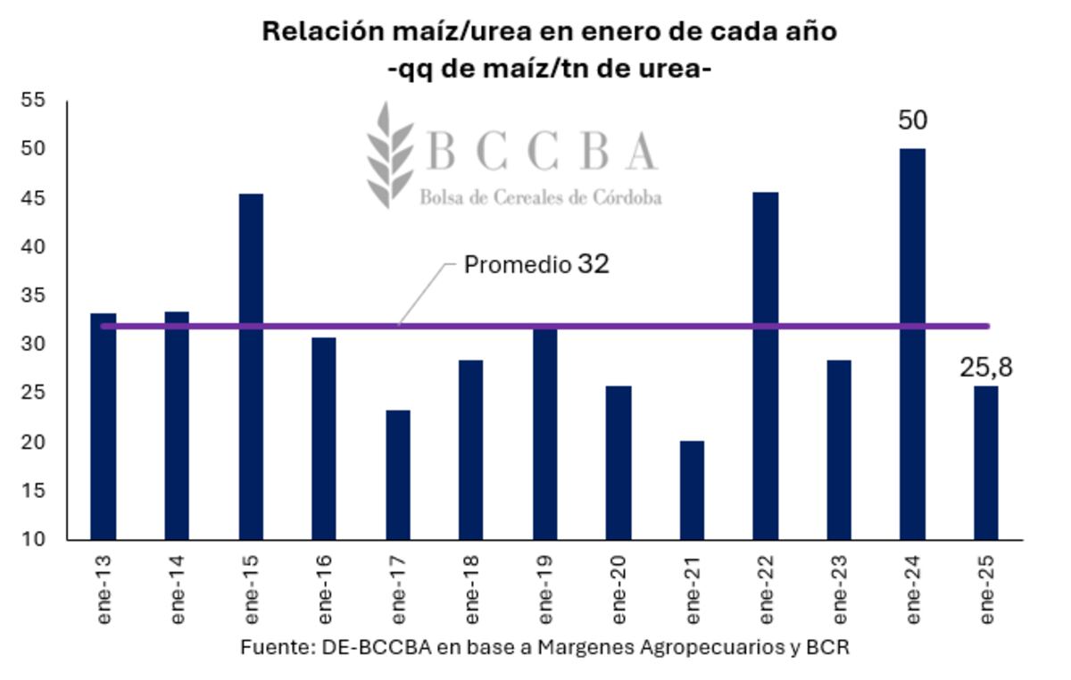Maíz Córdoba