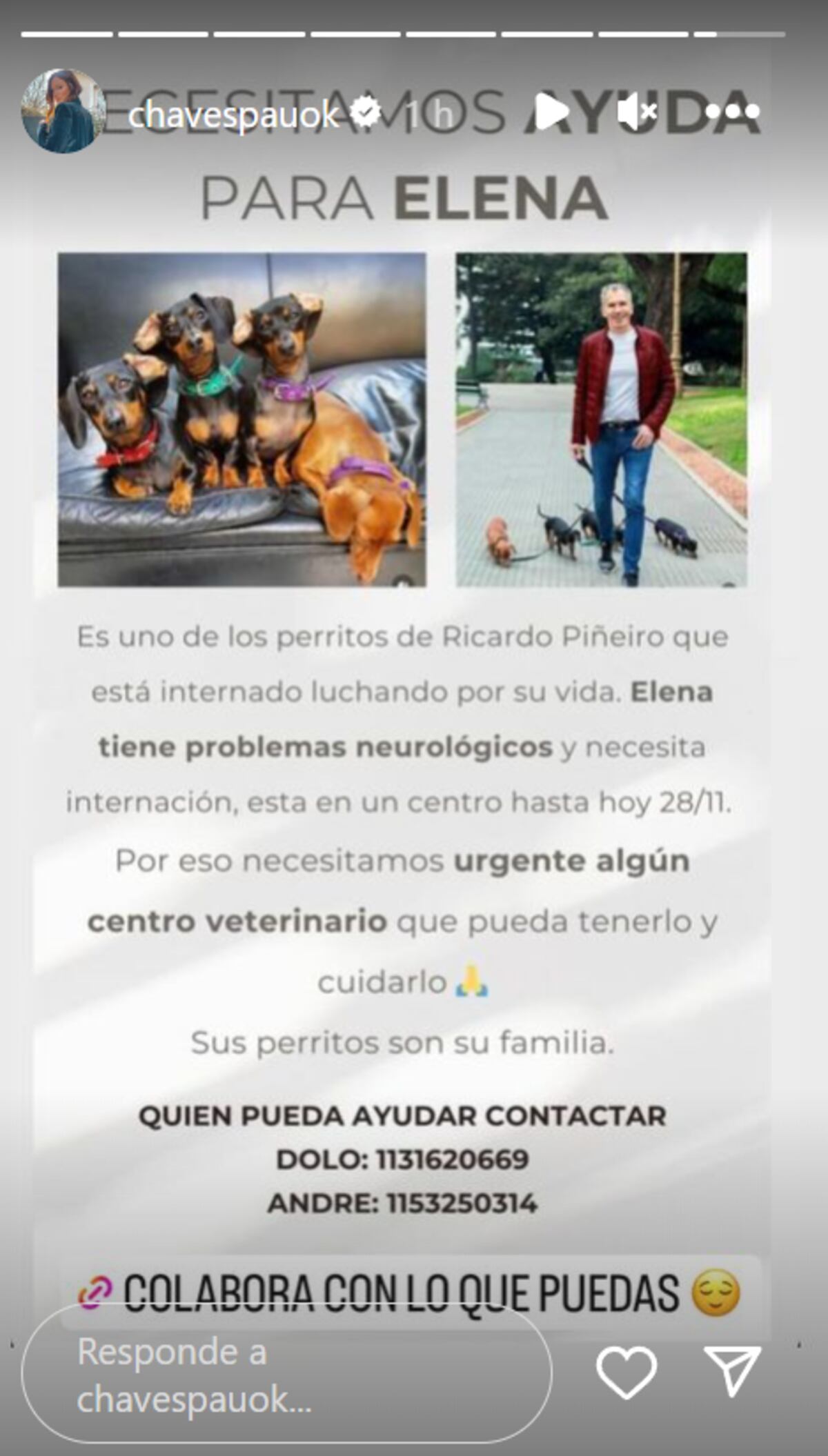 Paula Chaves, preocupada por las perritas de Ricardo Piñeiro. (Instagram)
