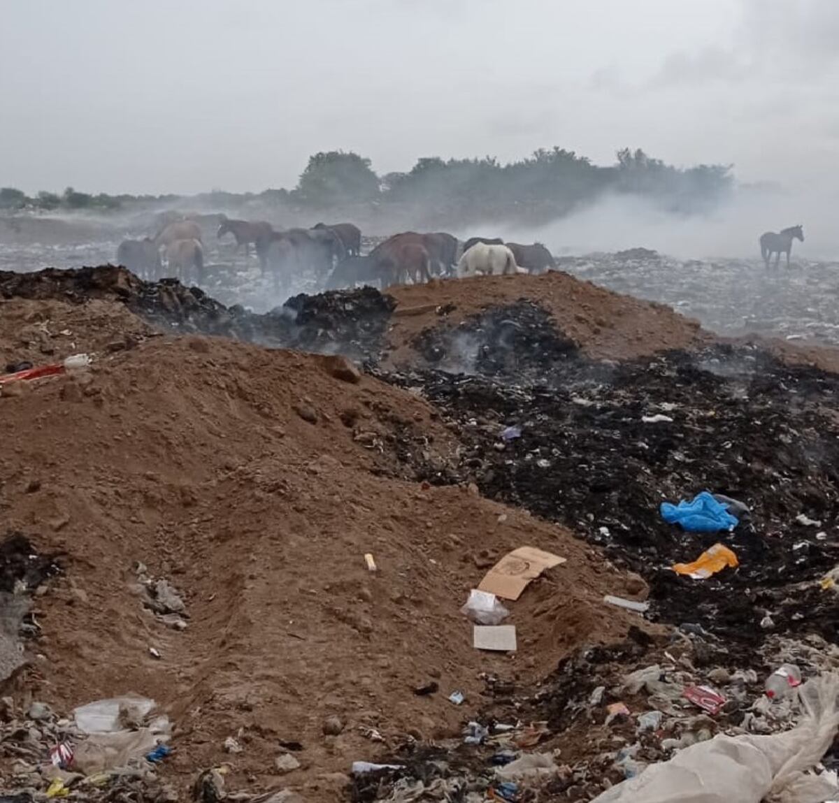 Basural municipal de Río Segundo. Las quemas son frecuentes. (Bomberos Río Segundo)