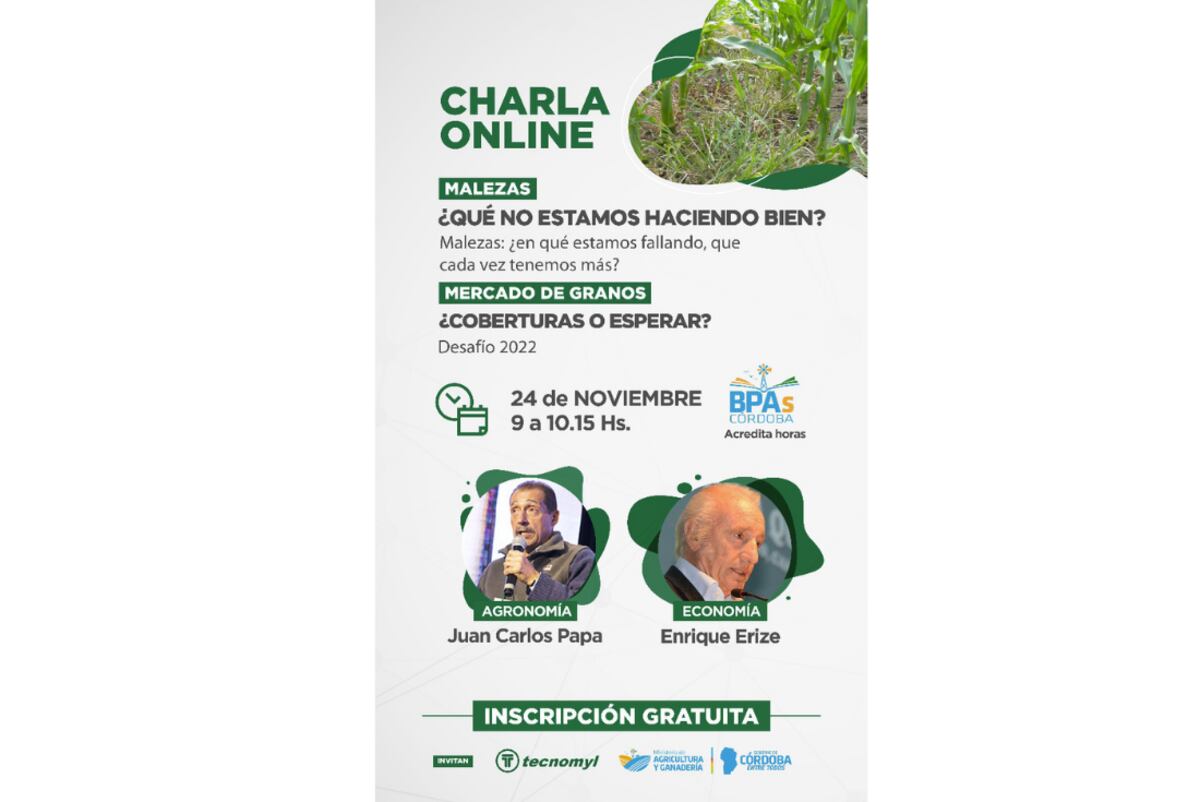 Charla online.