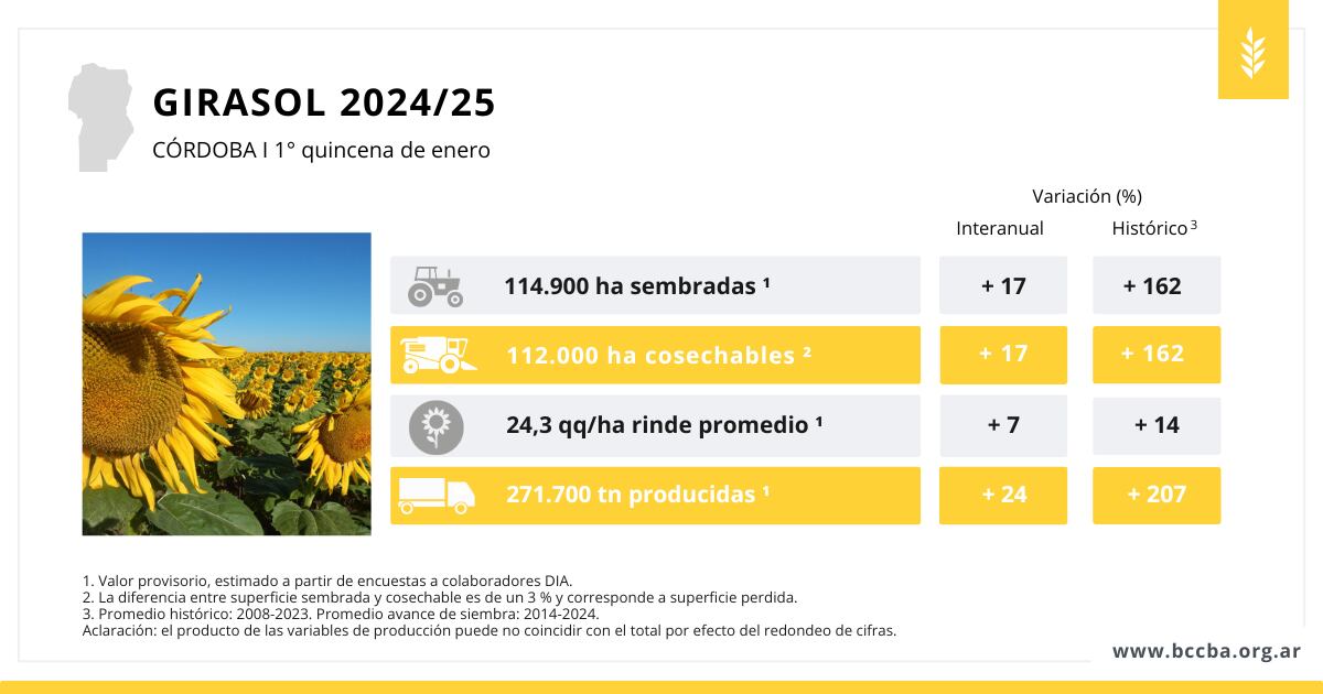 Girasol