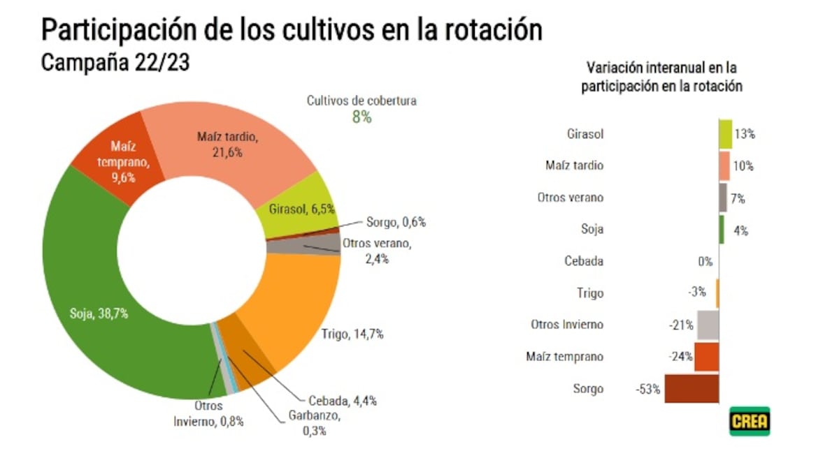 ENCUESTA CREA. Julio 2022