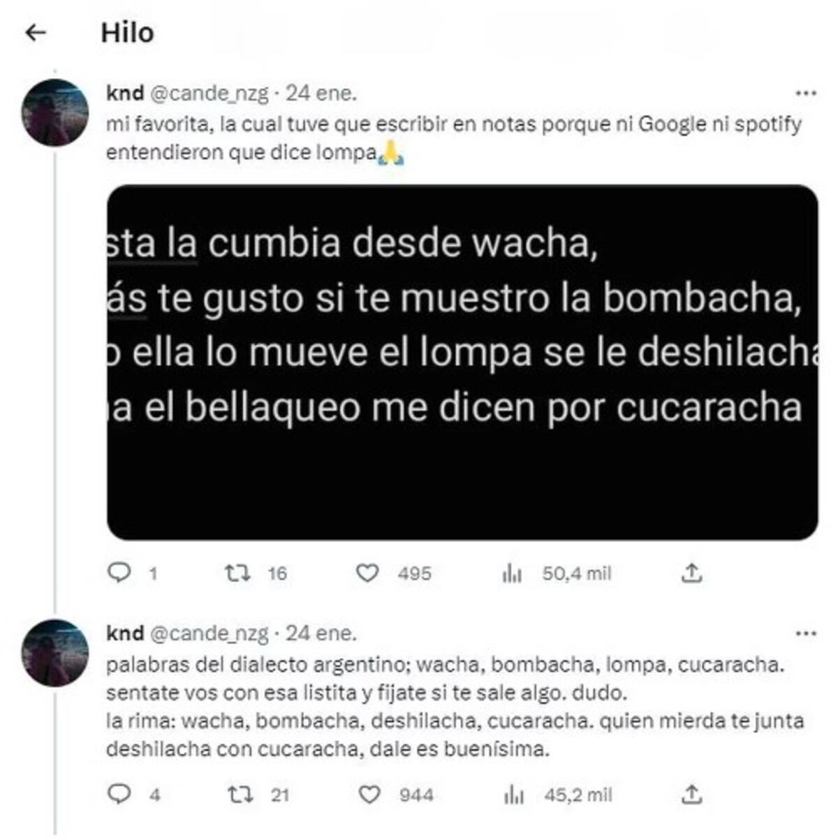Una estudiante de letras analizó las canciones de La Joaqui y se volvió viral Foto: Twitter