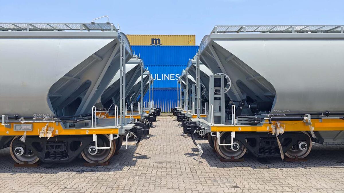 Trenes Argentinos Cargas adquirió 180 vagones graneros 0KM a la empresa china CMEC.