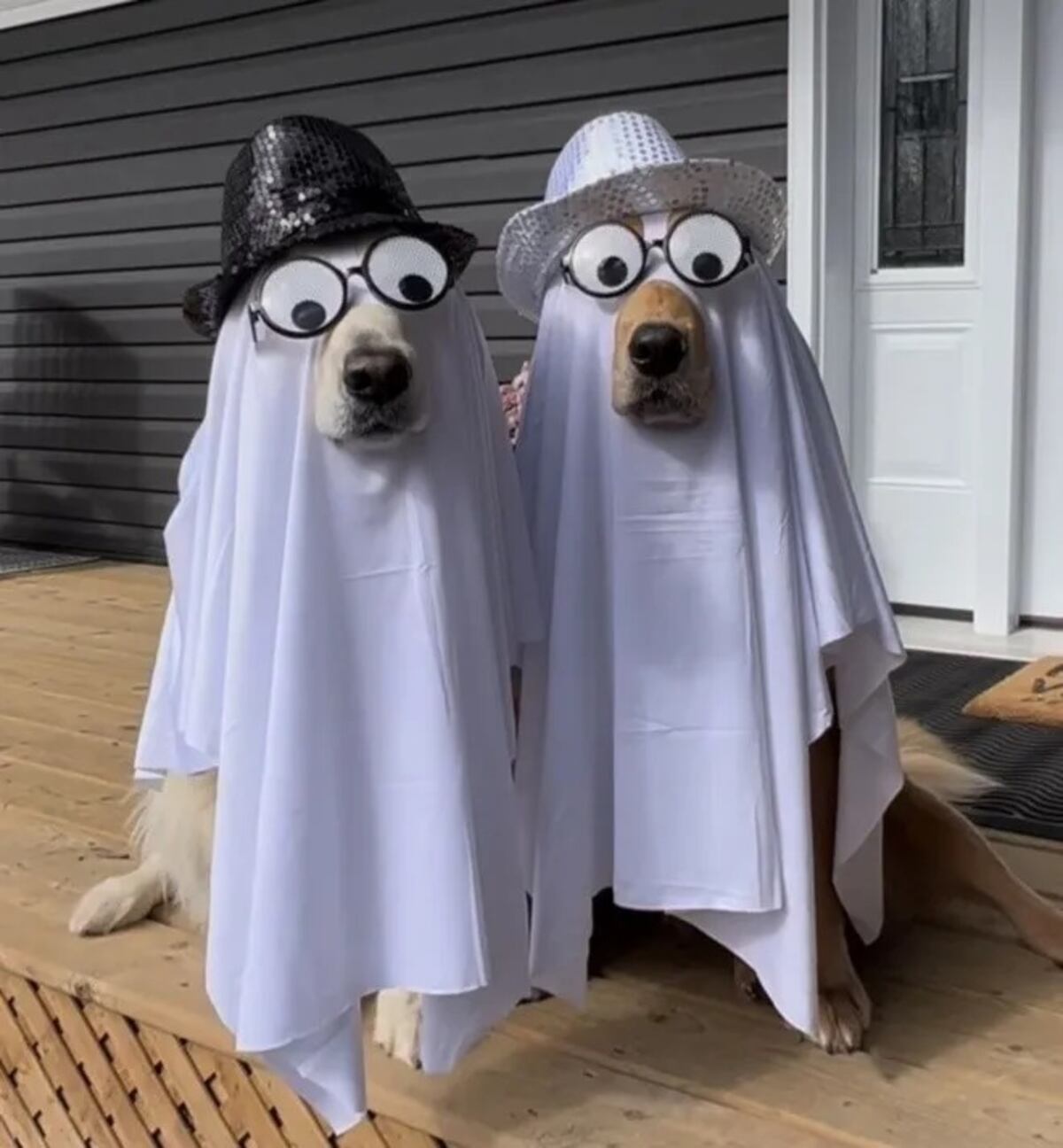 Halloween 2025: tres disfraces caseros fáciles y económicos para hacer con tus hijos