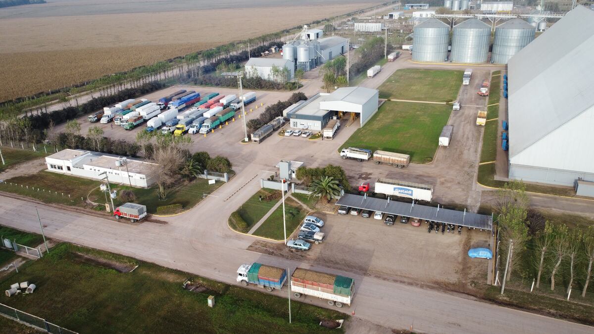 Planta Industrial de maní Gastaldi Hnos en General Deheza, Córdoba. (Gentileza)