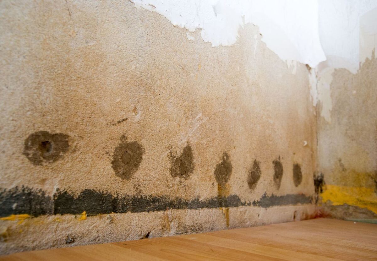 Adiós a la humedad: los cinco trucos definitivos para quitar las manchas de la pared