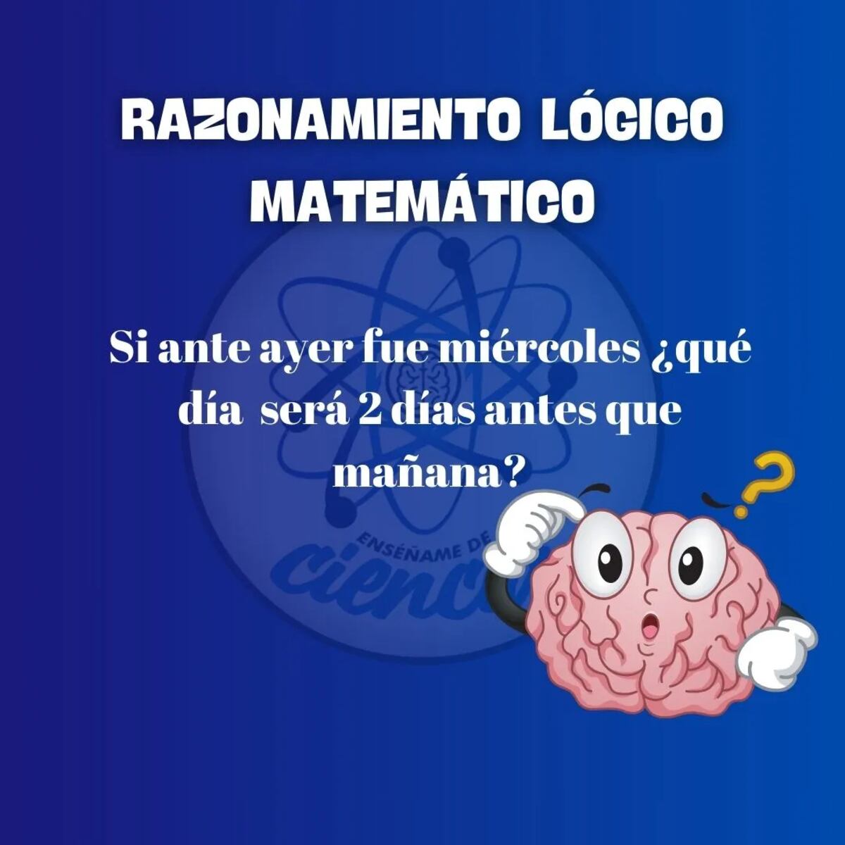 El acertijo visual.