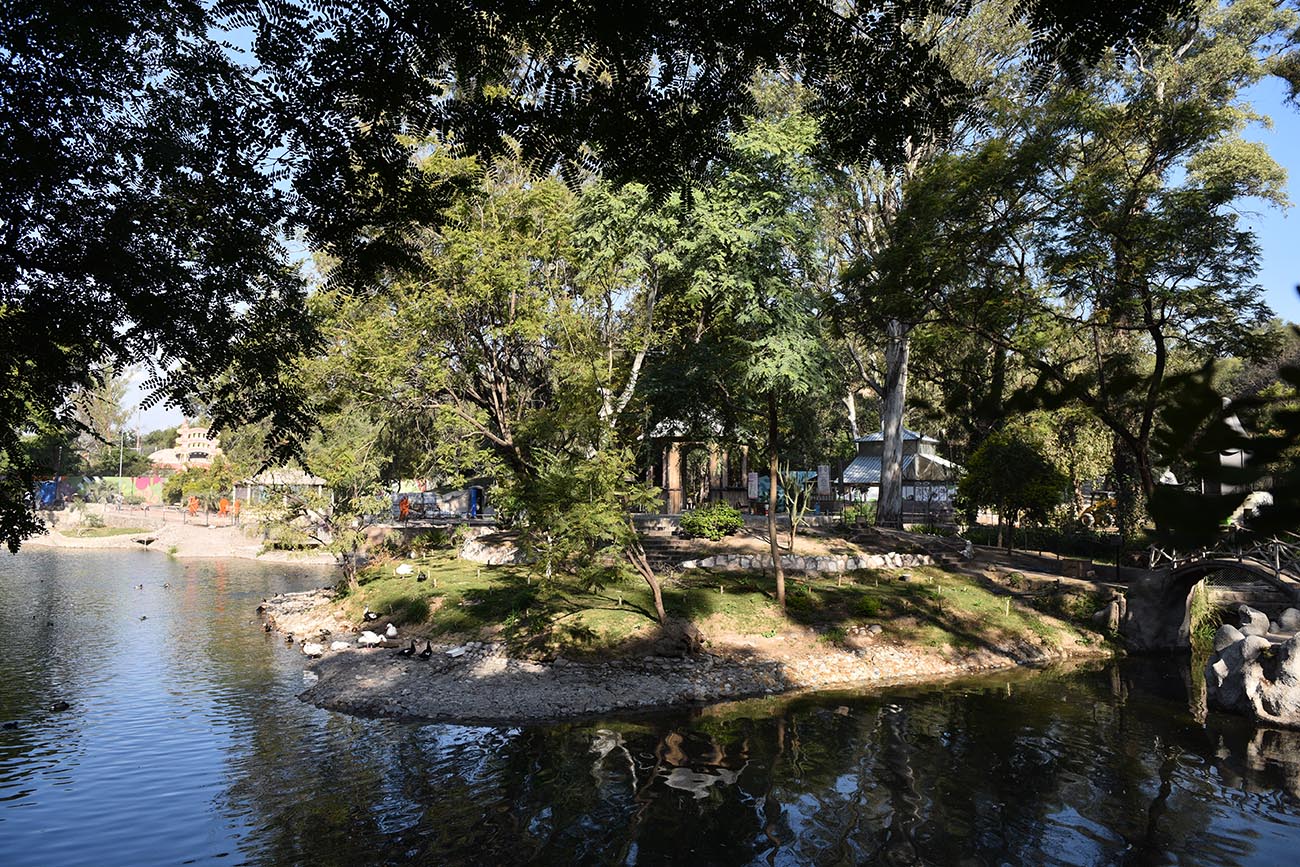Parque de la Biodiversidad de Córdoba. (José Gabriel Hernández / La Voz)