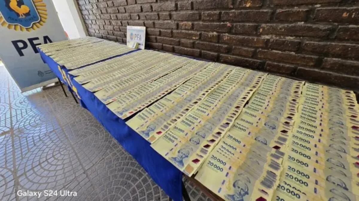 Santiago del Estero: un hombre fue detenido con casi $20 millones en billetes falsos. (Gentileza El Liberal)