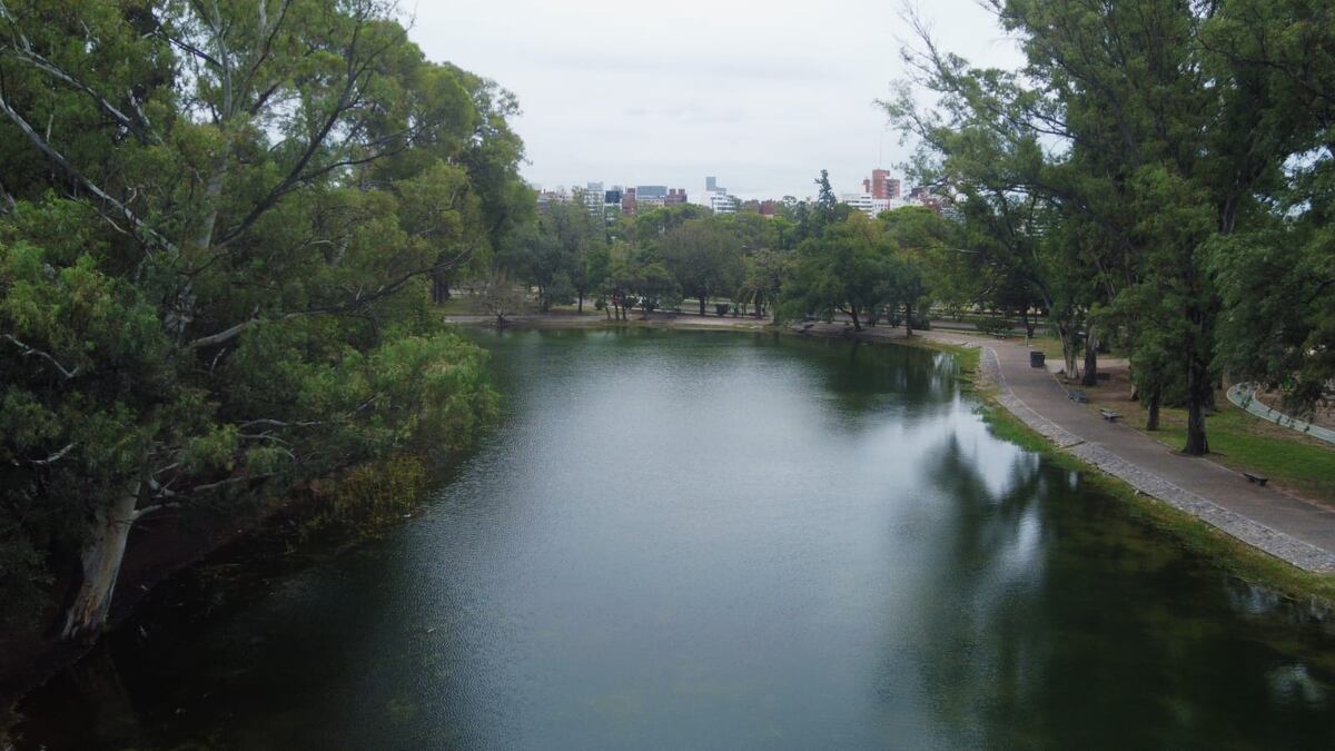La limpieza de la laguna del Parque Sarmiento forma parte de un masterplan dedicado a su saneamiento y mejora, destacaron desde la Municipalidad de Córdoba.  (Prensa Municipalidad de Córdoba)