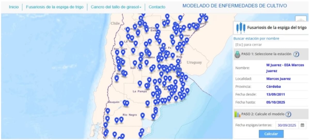 TRIGO. Desde el Inta aseguran que es una herramienta de gestión basada en ciencia, que reduce riesgos y aumenta certezas en un contexto de alta variabilidad climática. (Gentileza Inta)