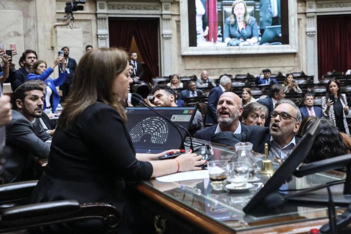 Cecilia Moreau, presidenta de la Cámara de Diputados.