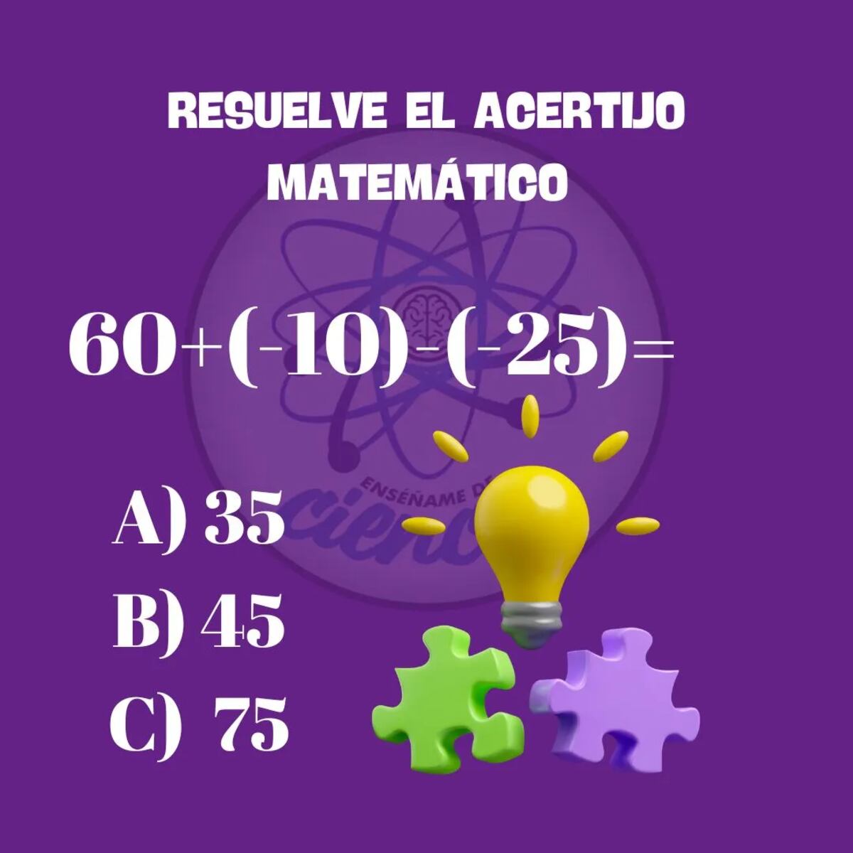 El acertijo visual.