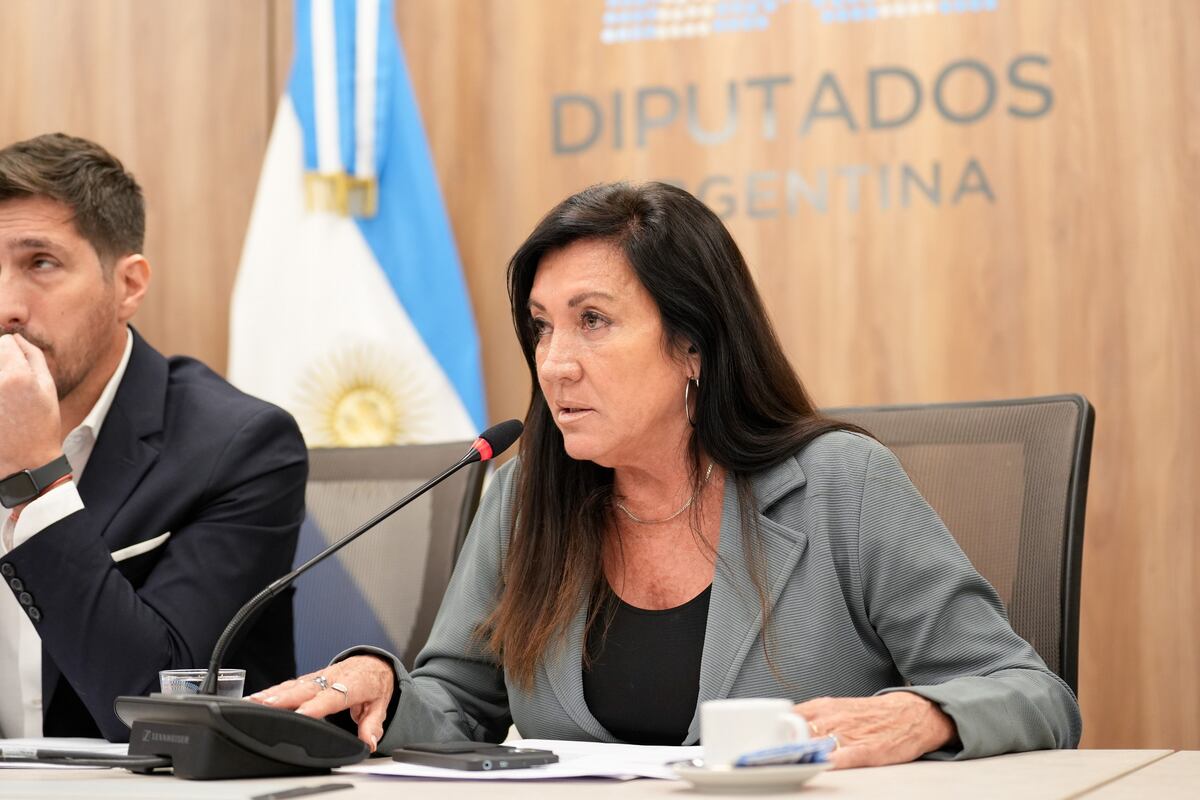 La diputada cordobesa Laura Rodríguez Machado renovó la presidencia de la Comisión de Legislación Penal (Foto: HCDN)