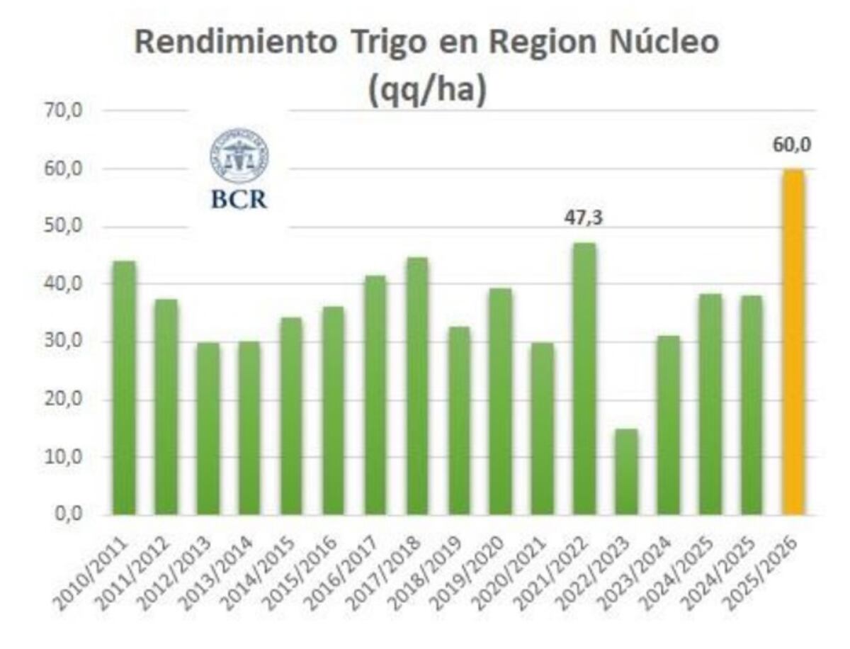 TRIGO. Una campaña con rendimientos históricos. (Gentileza BCR)