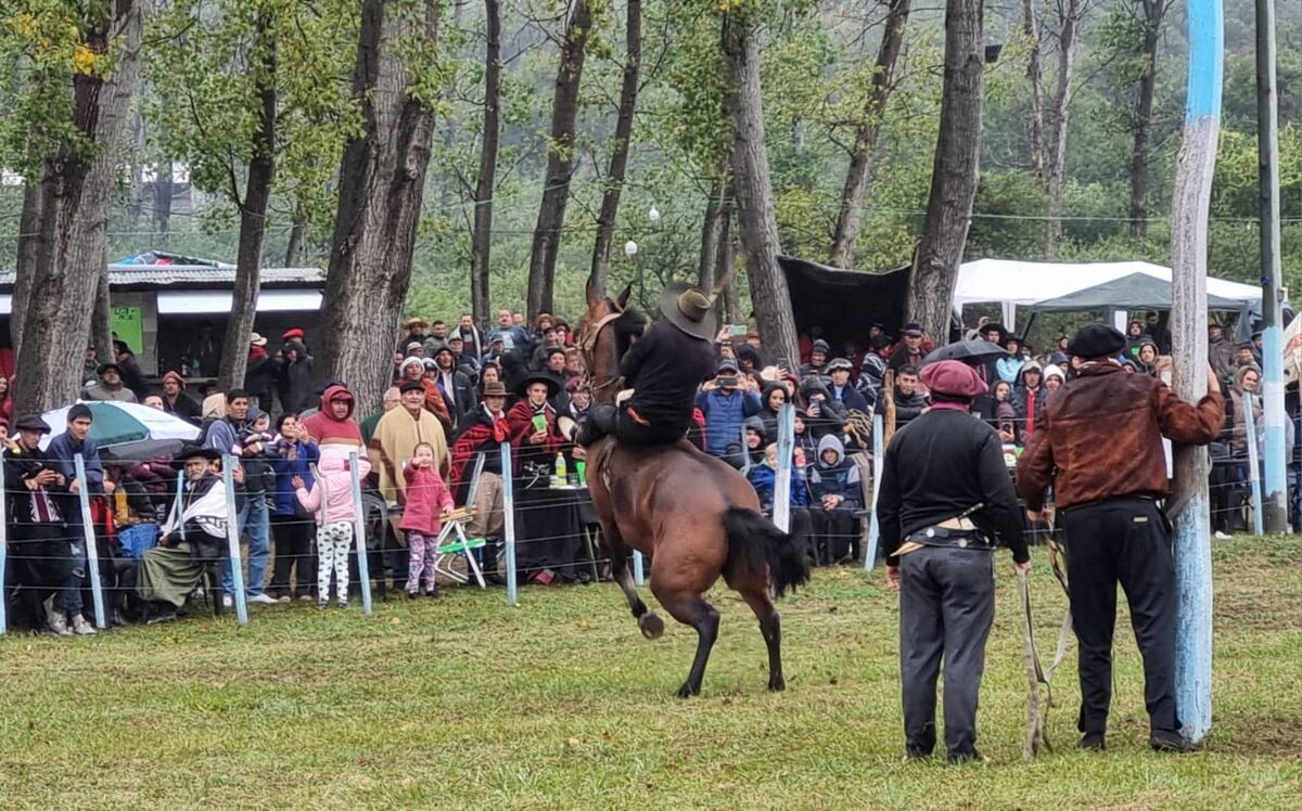 Fiesta en Tala Cañada (La Voz)