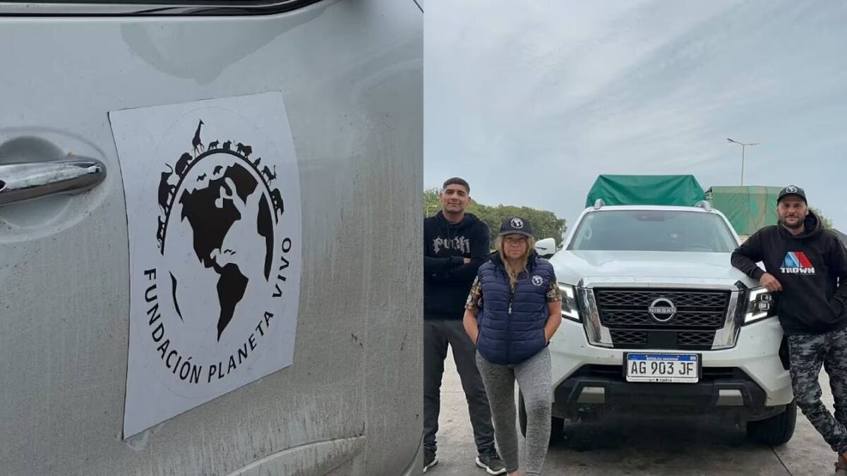 La Fundación Planeta Vivo brindará atención a los animales heridos durante los incendios forestales en el sur. (Fotos: TN / Instagram @fundacion.planetavivo.arg)