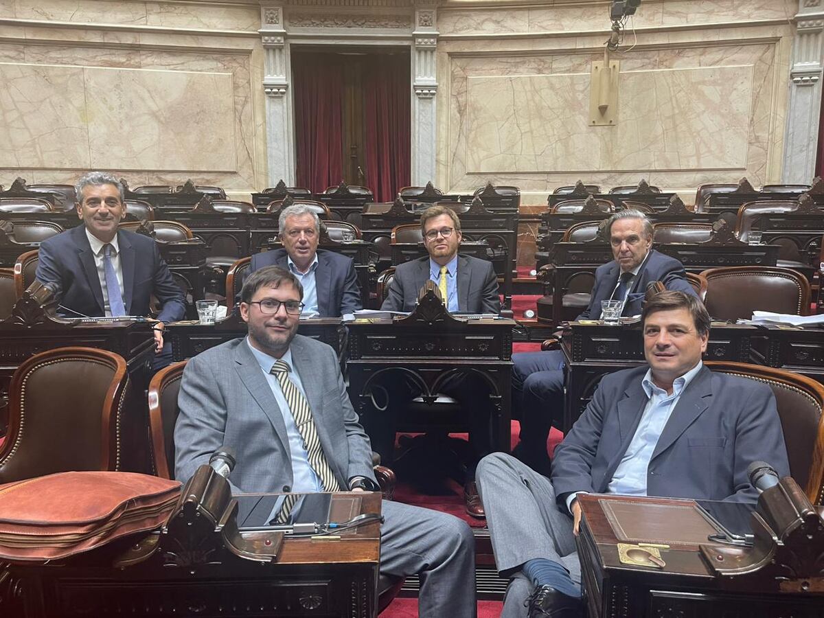 Los referentes del bloque Hacemos Coalición Federal en el Congreso tras el fracaso de la "ley ómnibus".