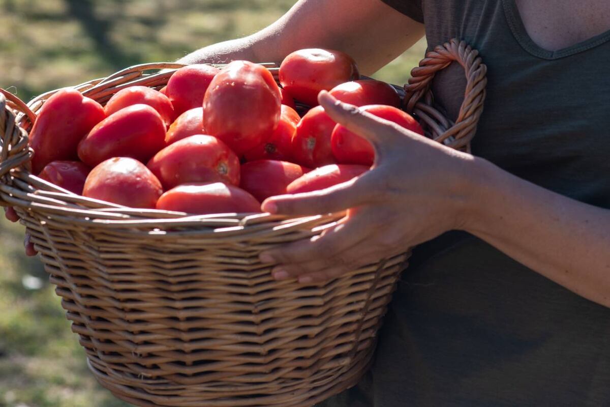 Alimentación saludable: consejos y recetas fáciles de una especialista para comer mejor. (Lucía Calogero)