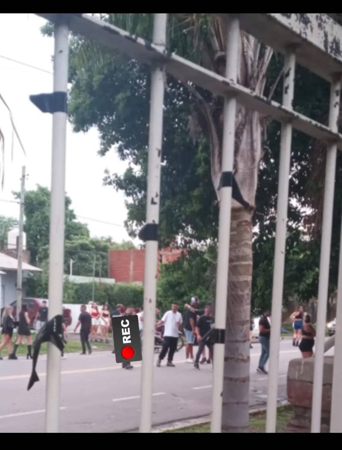 Imágenes de un encuentro clandestino, afuera de la "Casita del After". (Gentileza)