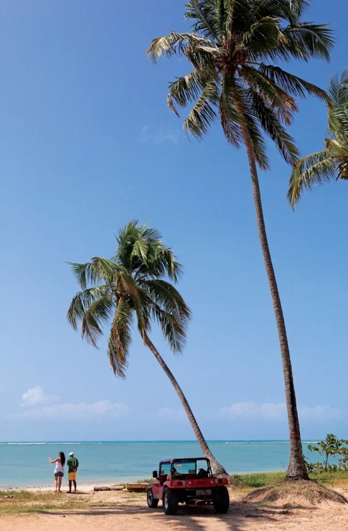 Brasil: el refugio secreto en Alagoas con playas vírgenes y piscinas naturales para desconectar